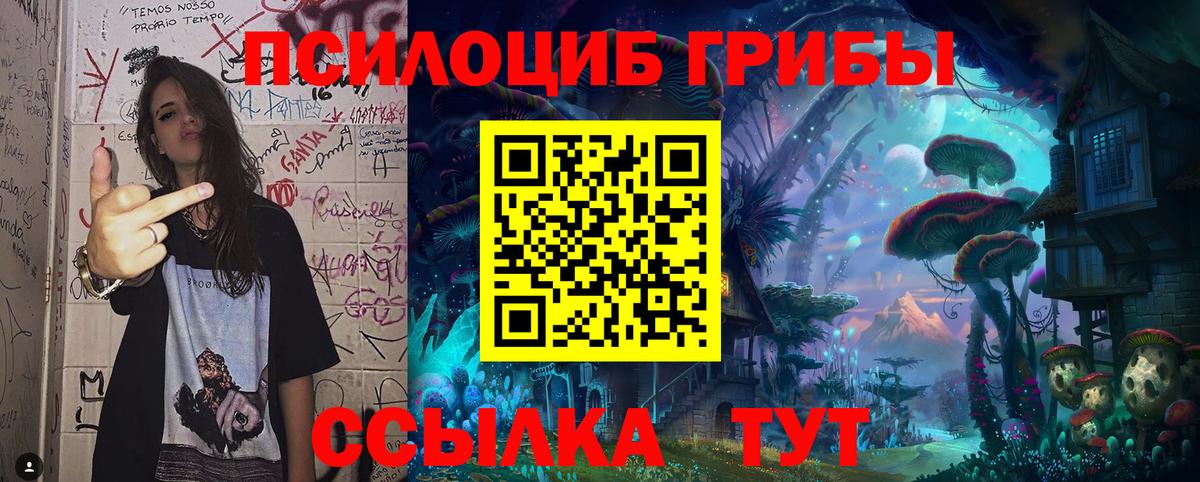 Галлюциногенные грибы Cubensis Артём