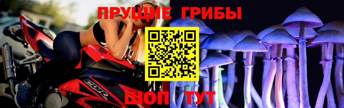 Артём  Псилоцибиновые грибы Cubensis  Галлюциногенные грибы Cubensis  Вход с VPN 